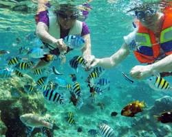 Perairan Pulau Tidung Kecil - foto 1