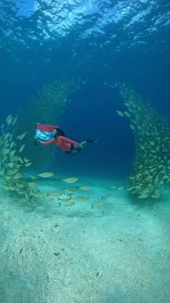 Diving Wall Pulau Payung - foto 1