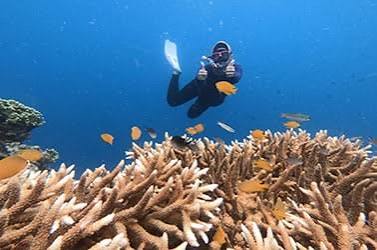 Diving Wall Pulau Payung - foto 2