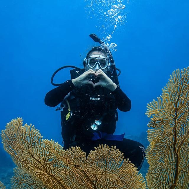 Diving akan dimulai 2027