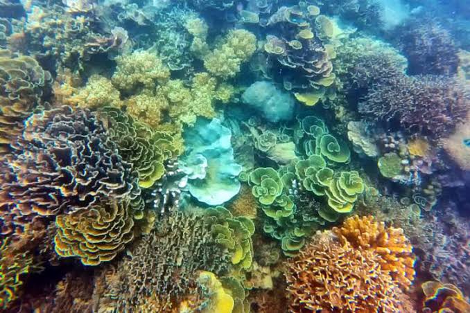 Karang Badongan & Karang Puret - foto 2
