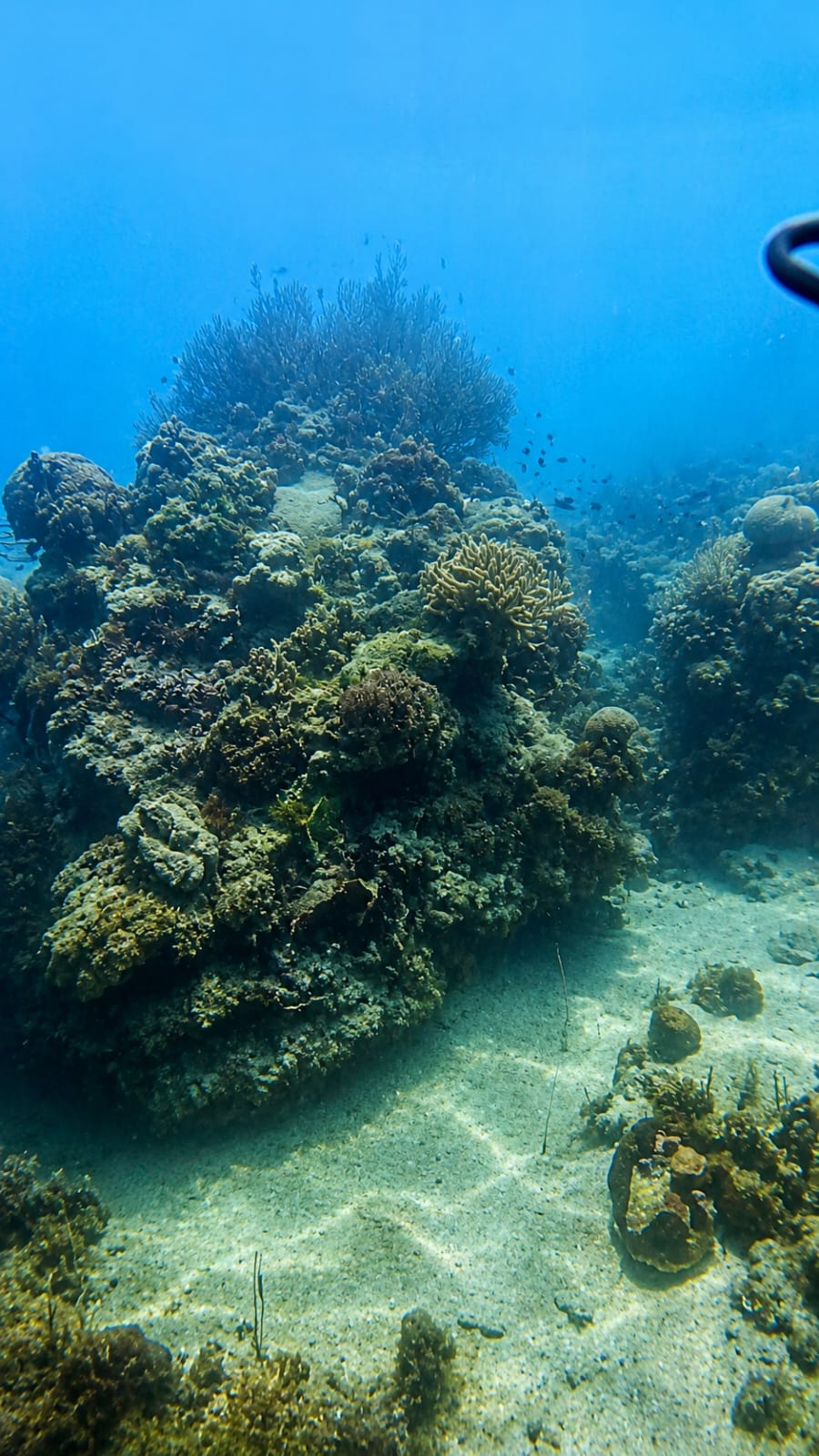 Pulau Pramuka - foto 2